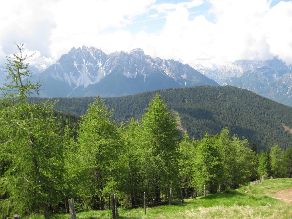 Steinerhof Daire Dobbiaco Oda fotoğraf