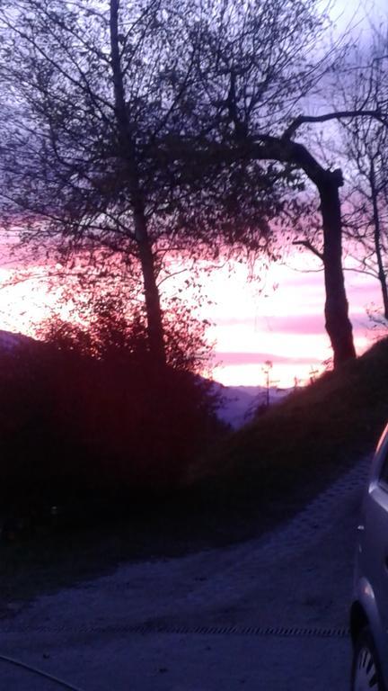Steinerhof Daire Dobbiaco Dış mekan fotoğraf