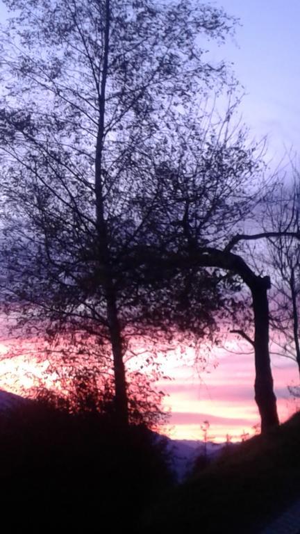 Steinerhof Daire Dobbiaco Dış mekan fotoğraf