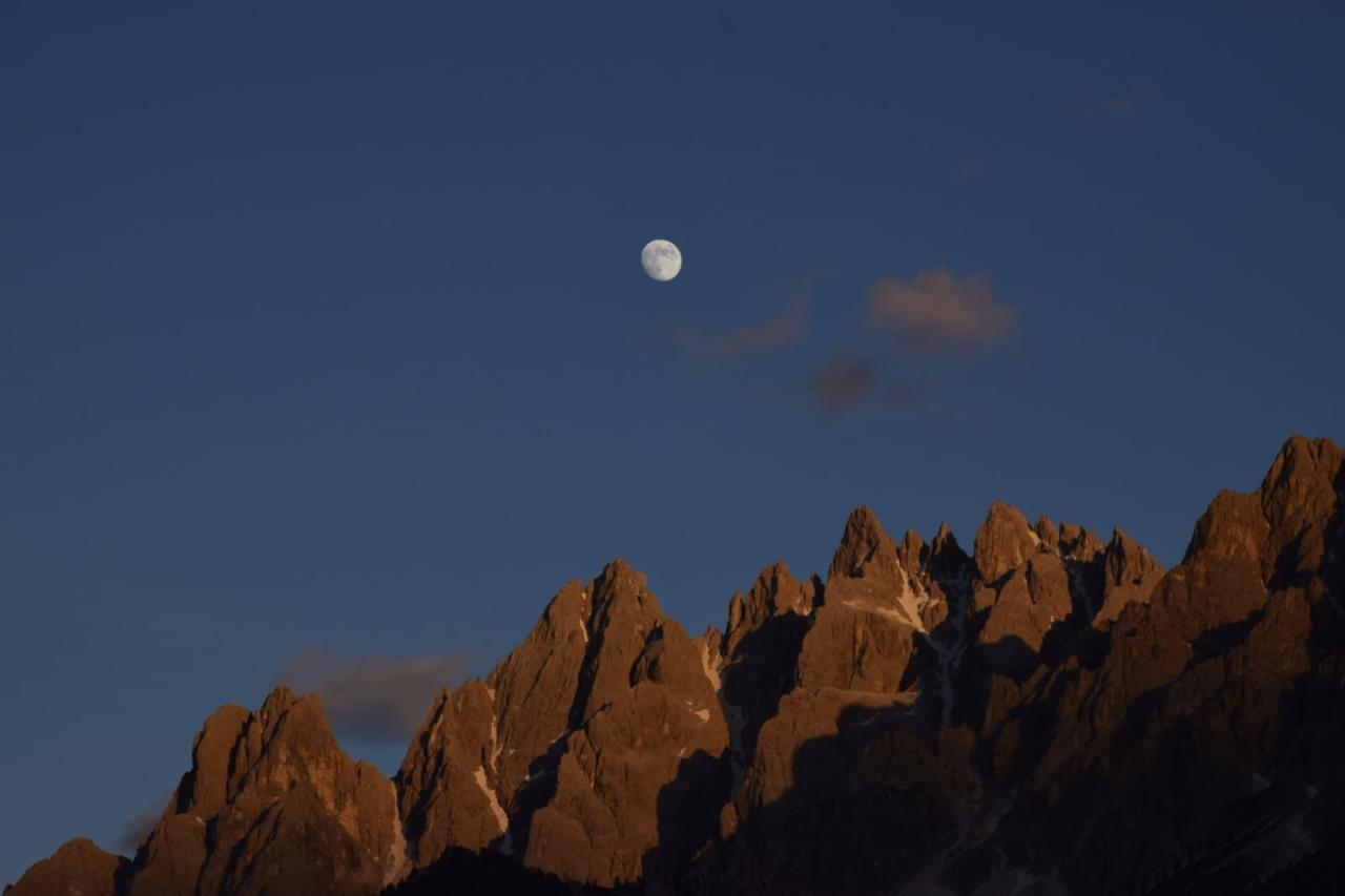 Steinerhof Daire Dobbiaco Dış mekan fotoğraf